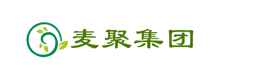 麦聚科技集团股份有限公司